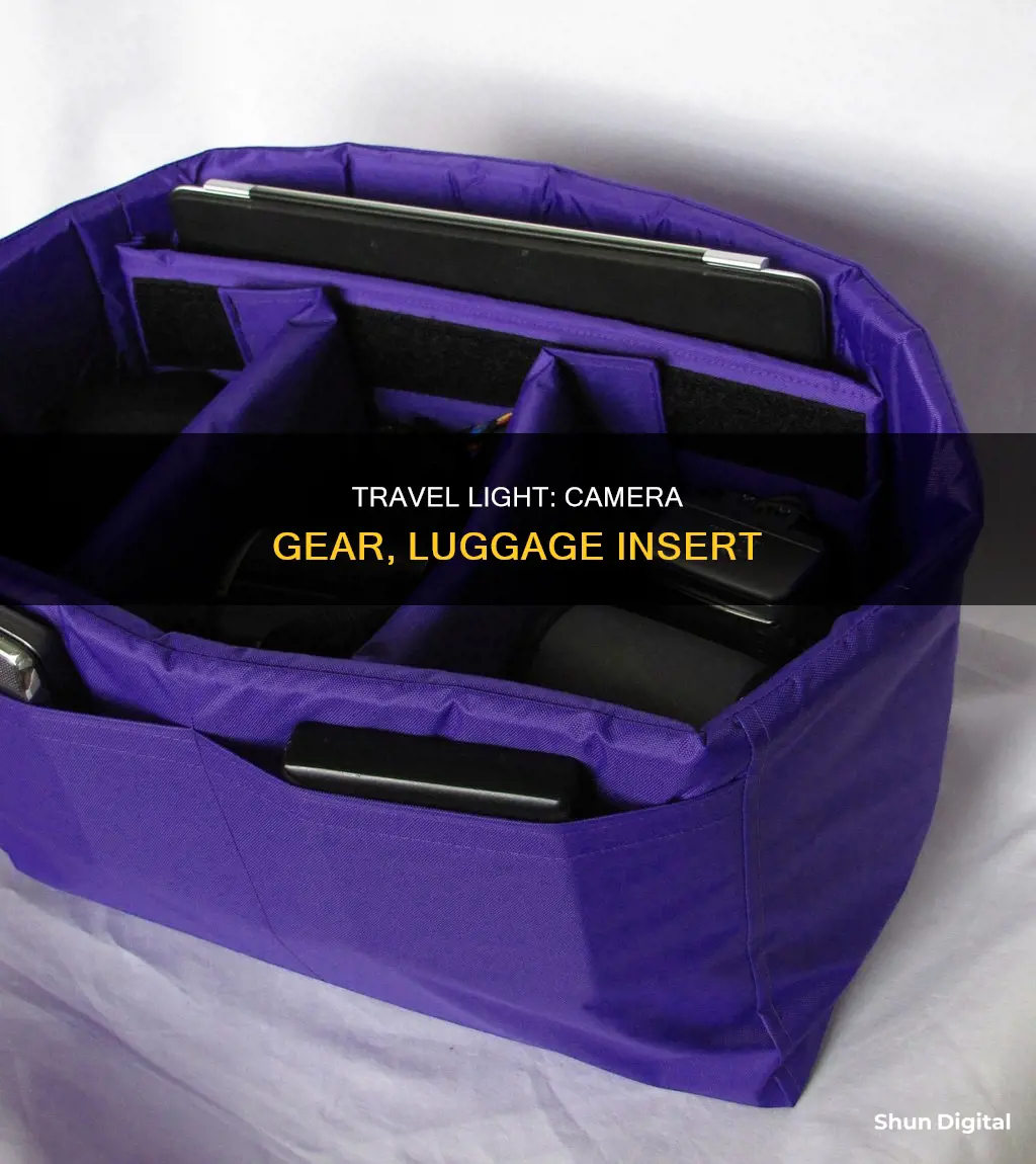 a-mode camera luggage insert