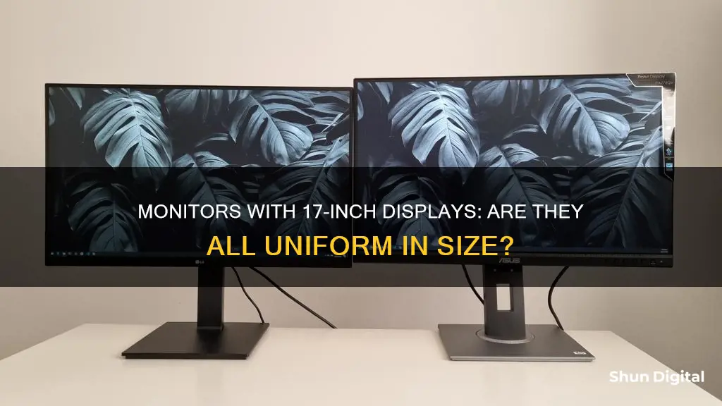 are all 17 monitors the same size