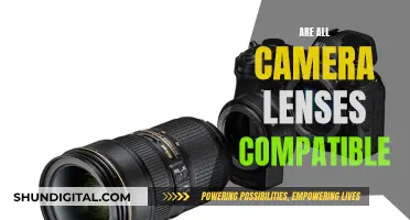 Lens Compatibility: Understanding Camera Lens Interchangeability