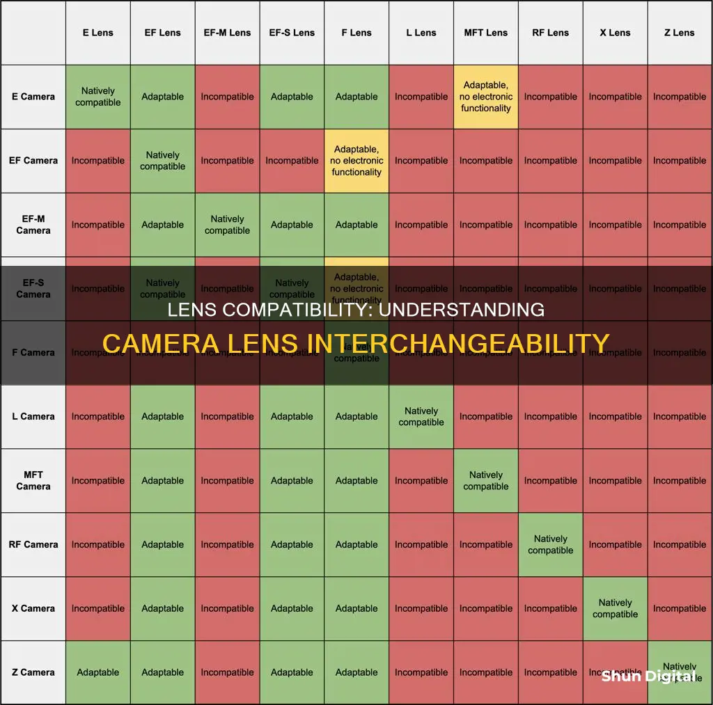 are all camera lenses compatible