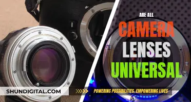 Universal Camera Lenses: A Myth or Reality?