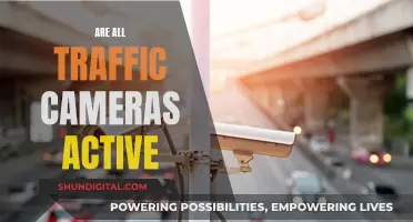 Traffic Cameras: Active or Inactive?