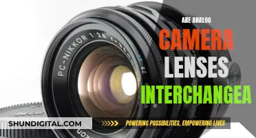 Analog Camera Lenses: Interchangeable or Not?