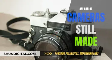 Analog Cameras: Still Relevant, Still Made?