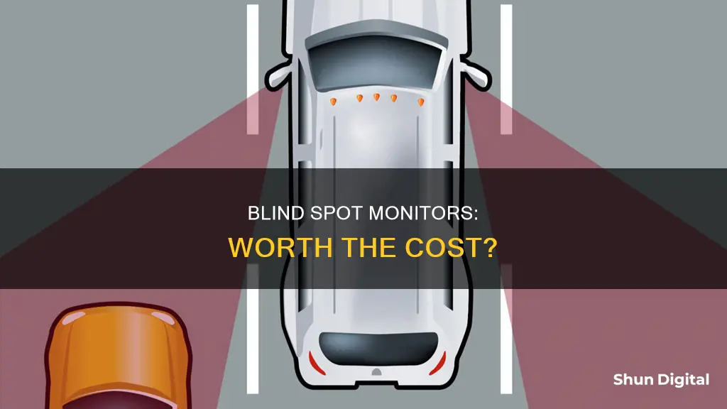 are blind spot monitors worth it