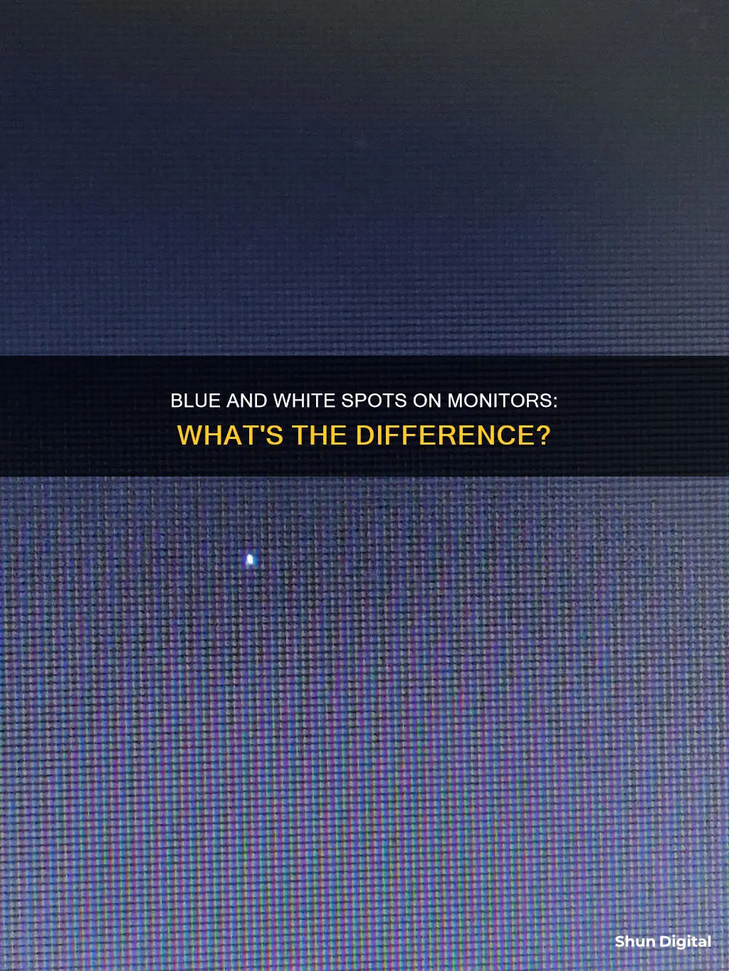 are blue spots on monitor the same as white spots