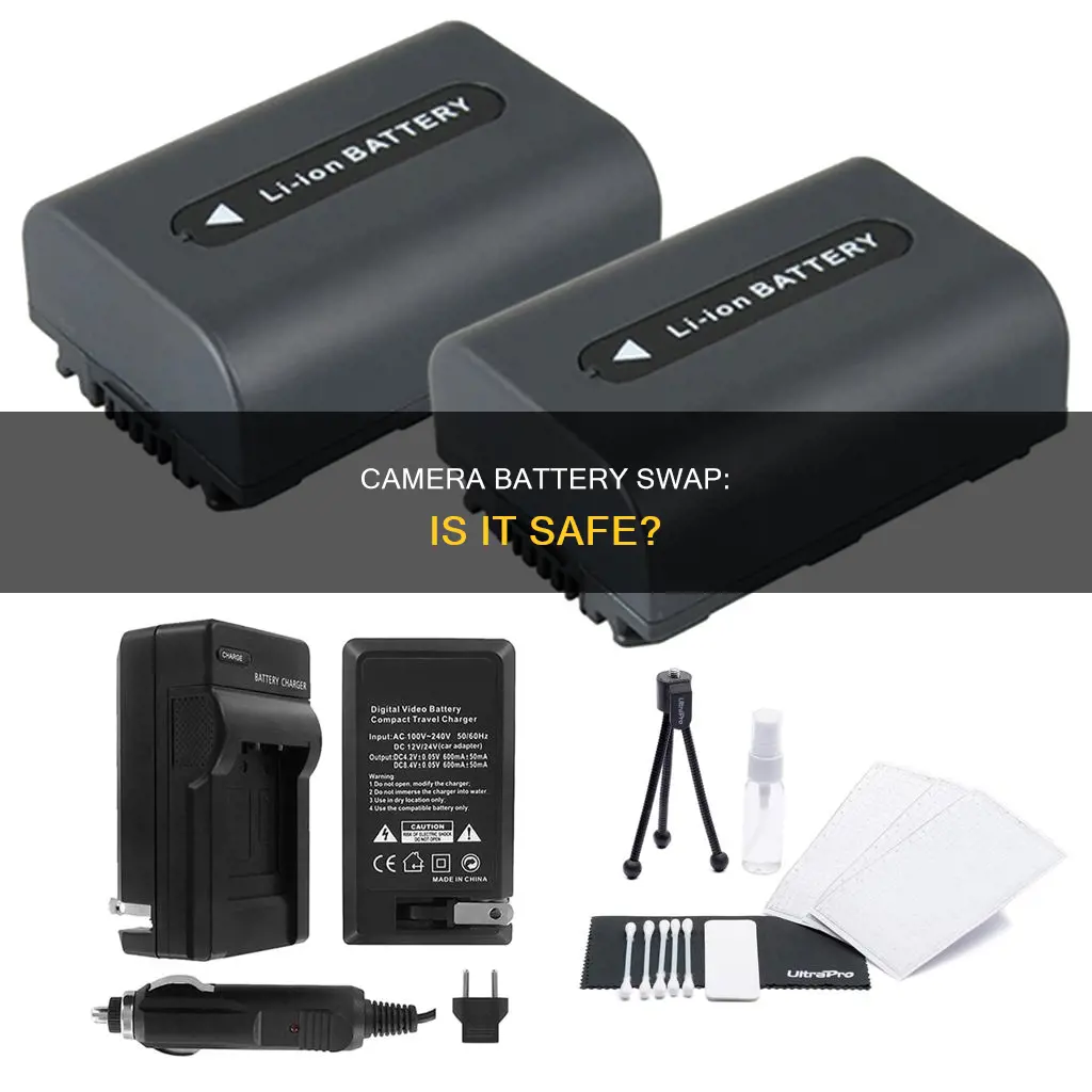 are camera batteries interchangeable