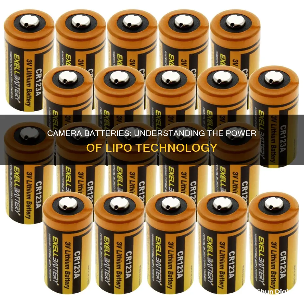 are camera batteries lipo