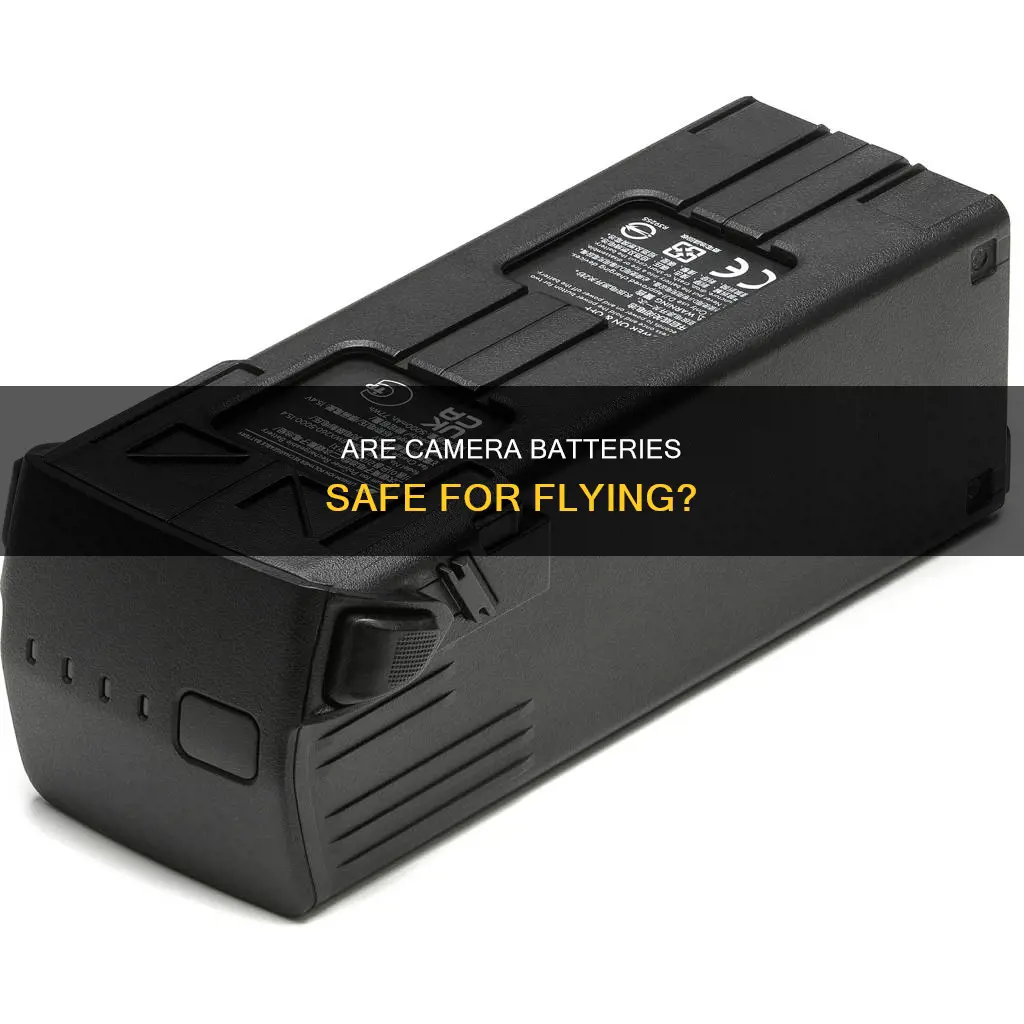 are camera ion batteries ok to flights