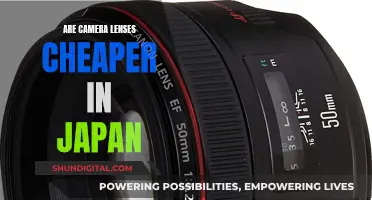 Japan's Camera Lens Market: Affordable Photography Superpower?