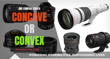 What Shape Makes Camera Lenses Work?