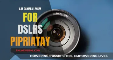 Camera Lenses for DSLRs: Are They Piratical and Affordable?