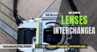 Understanding Camera Lens Interchangeability: What You Need to Know