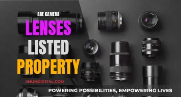 Camera Lenses: Expensive, Fragile, and Worthy of Insurance Coverage