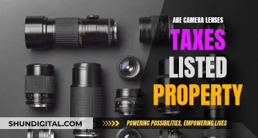 Camera Lenses: Tax Benefits and What Qualifies as 'Listed Property