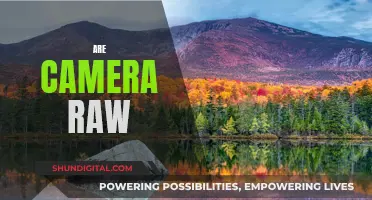 Unleashing Creative Control: Understanding Camera Raw's Power