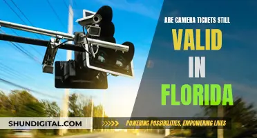 Camera Tickets: Valid in Florida?