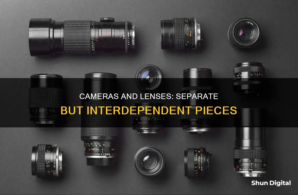 are cameras and lenses separate pieces