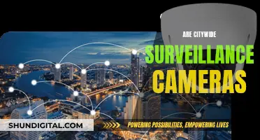 Surveillance Cameras: Citywide Privacy or Security?