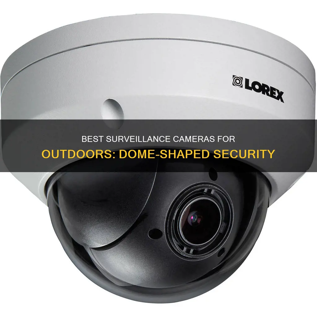 are dome surveillance cameras for outdoors