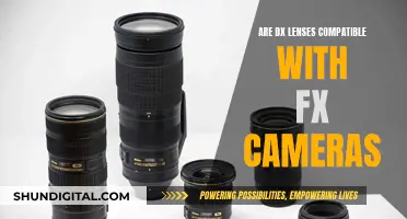 DX Lenses: Compatible with FX Cameras?