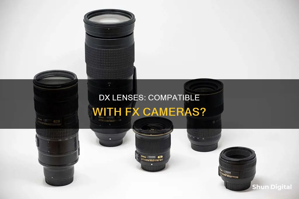 are dx lenses compatible with fx cameras