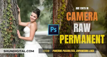 Edits in Camera Raw: Permanent or Not?