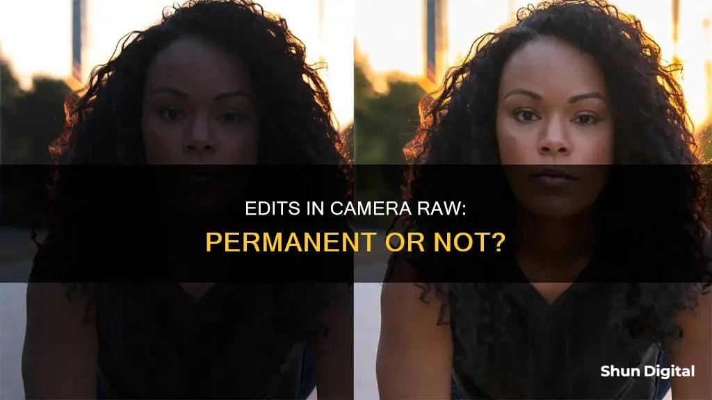 are edits in camera raw permanent