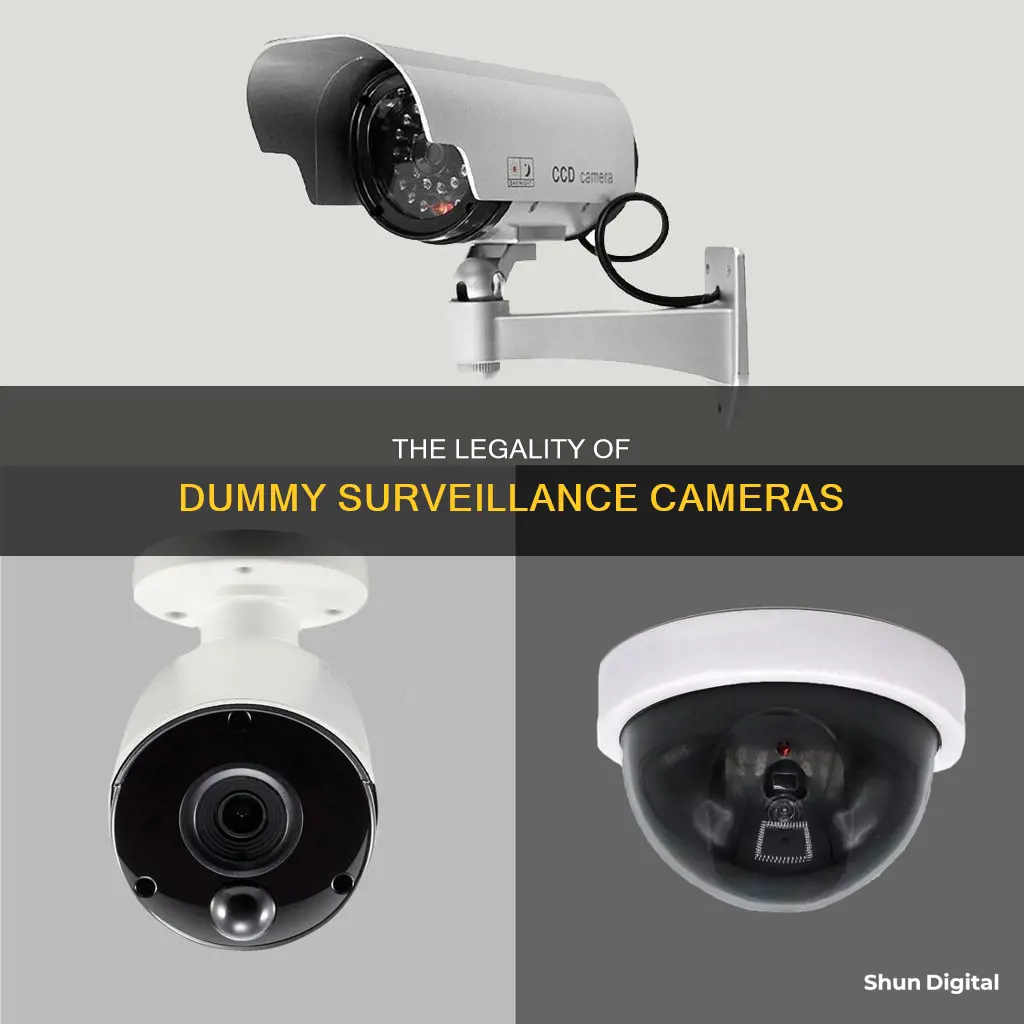 are fake surveillance cameras legal