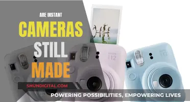 Instant Cameras: Still Relevant in the Digital Age?