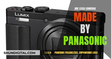 Leica and Panasonic: A Tale of Two Camera Brands