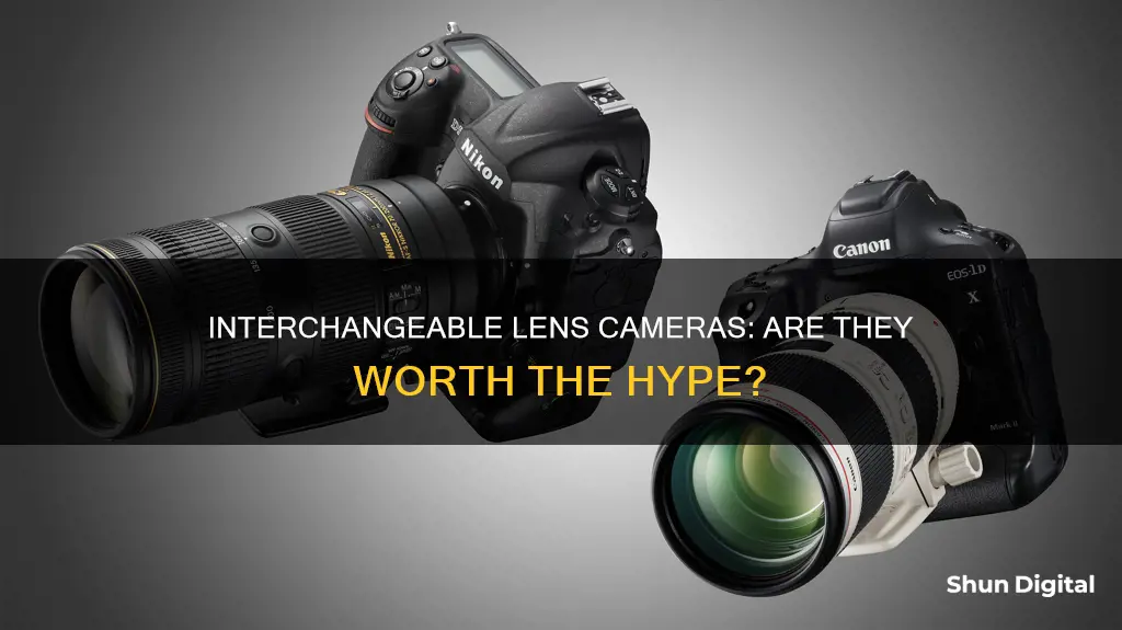 are lense interchangealbe dlsr cameras