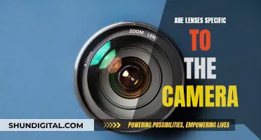 Lens and Camera Compatibility: Are Lenses Camera-Specific?