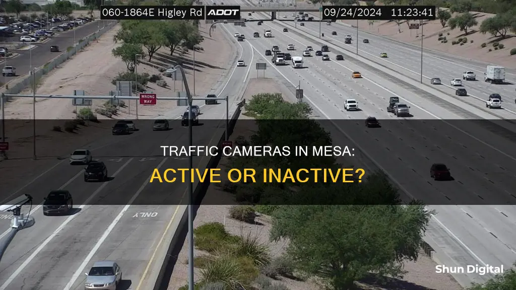 are mesa traffic cameras active now