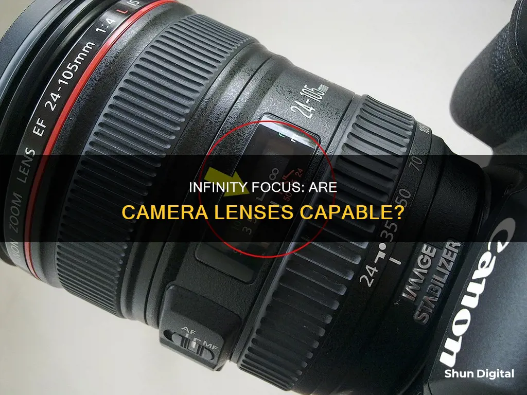 are most camera lenses infinity capable