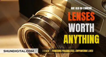 Vintage Camera Lenses: Worth the Money or Not?