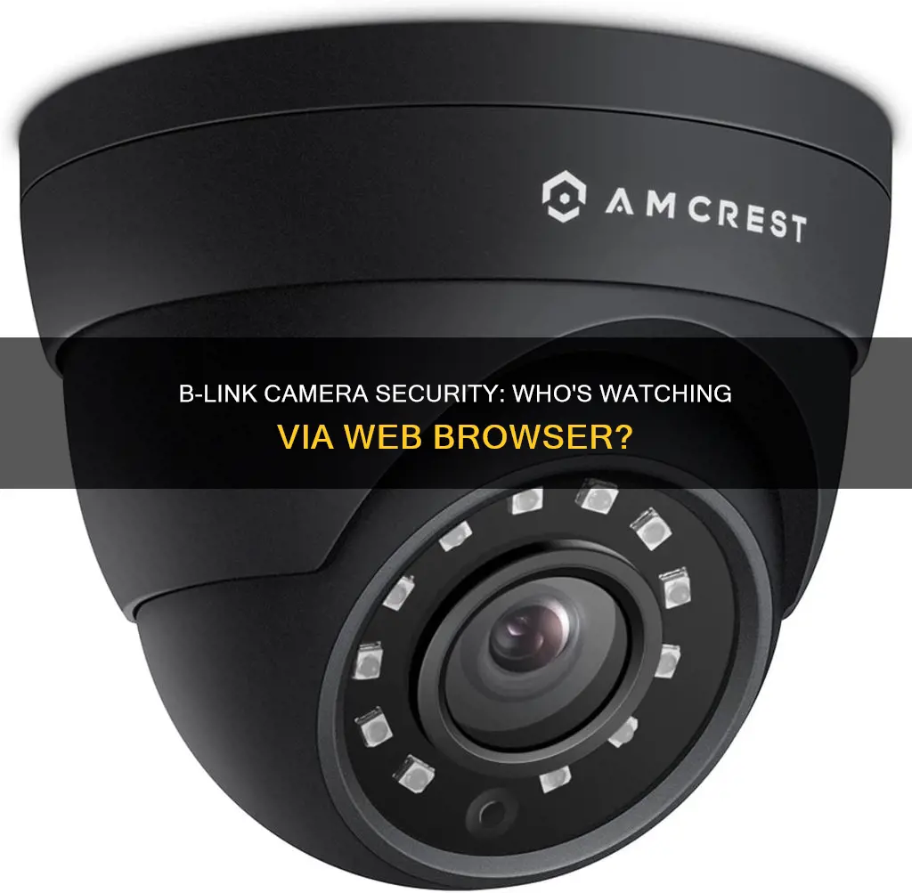 are people watching me through my b-link camera via webbrowser