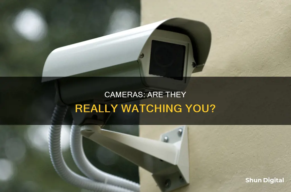 are people watching through your cameras