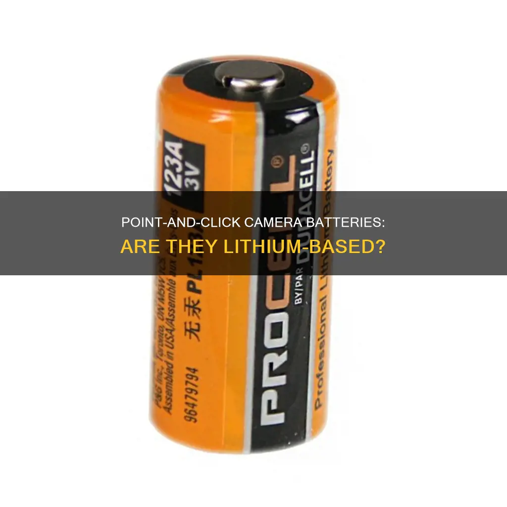 are point and click camera batteries lithium