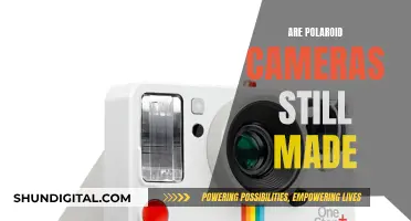 Polaroid Cameras: Still in Production, Still in Demand