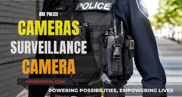 Police Body Cameras: Privacy vs. Surveillance