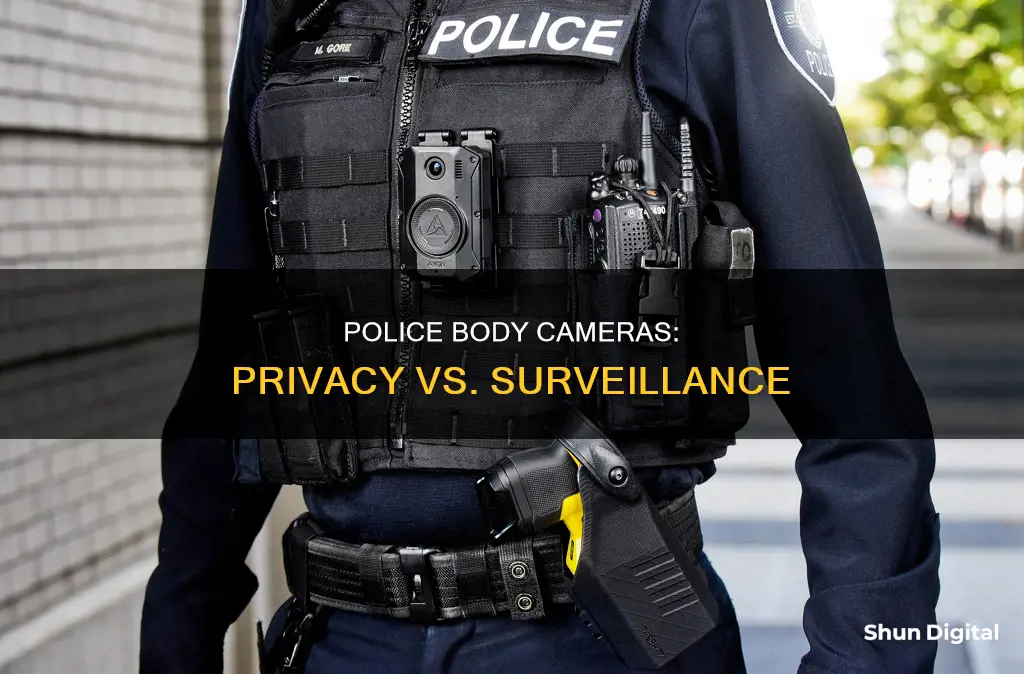 are police cameras surveillance camera