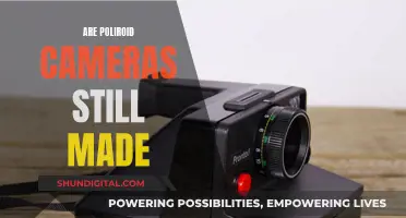 Polaroid Cameras: Still Being Made, Still Capturing Moments