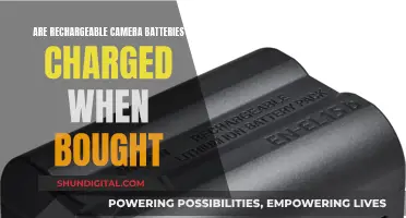 Rechargeable Camera Batteries: Charged or Not When Bought?