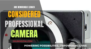 Removable Lenses: Are They Truly Professional Cameras?