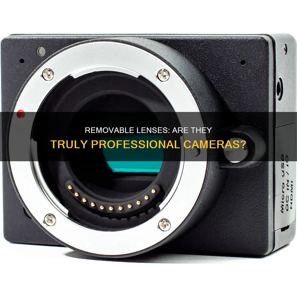 are removable lenses considered professional camera