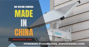 Reolink Cameras: Made in China?