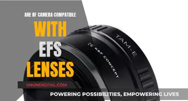 RF and EF Camera Lens Compatibility: What You Need to Know