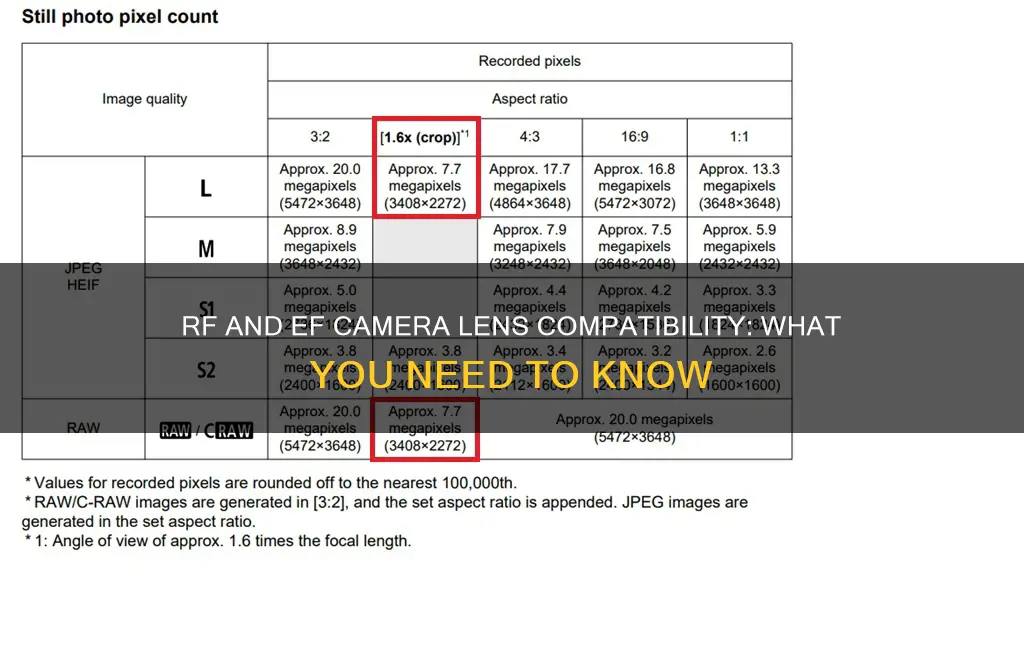 are rf camera compatible with efs lenses