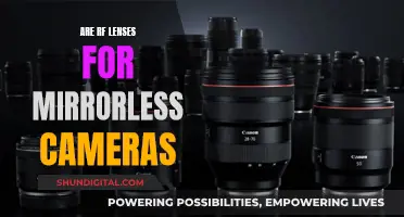 RF Lenses: The Future of Mirrorless Photography?